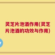 灵芝片泡酒作用(灵芝片泡酒的功效与作用)