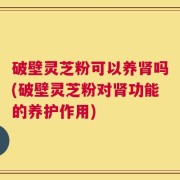 破壁灵芝粉可以养肾吗(破壁灵芝粉对肾功能的养护作用)