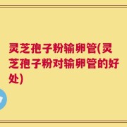 灵芝孢子粉输卵管(灵芝孢子粉对输卵管的好处)