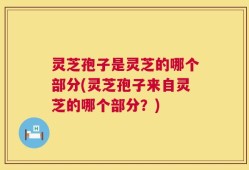 灵芝孢子是灵芝的哪个部分(灵芝孢子来自灵芝的哪个部分？)