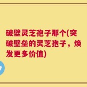 破壁灵芝孢子那个(突破壁垒的灵芝孢子，焕发更多价值)