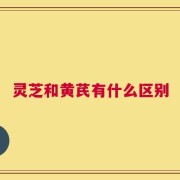 灵芝和黄芪有什么区别