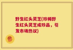 野生红头灵芝(珍稀野生红头灵芝成珍品，引发市场热议)