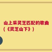 山上采灵芝匹配的歌曲(《灵芝山下》)