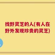 找野灵芝的人(有人在野外发现珍贵的灵芝)