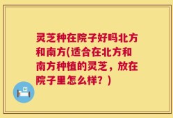 灵芝种在院子好吗北方和南方(适合在北方和南方种植的灵芝，放在院子里怎么样？)