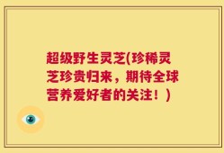 超级野生灵芝(珍稀灵芝珍贵归来，期待全球营养爱好者的关注！)