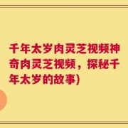 千年太岁肉灵芝视频神奇肉灵芝视频，探秘千年太岁的故事)