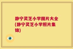 静宁灵芝小学图片大全(静宁灵芝小学照片集锦)