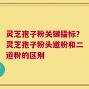 灵芝孢子粉关键指标？灵芝孢子粉头道粉和二道粉的区别