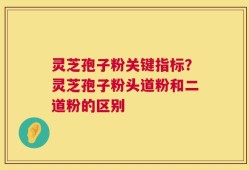 灵芝孢子粉关键指标？灵芝孢子粉头道粉和二道粉的区别