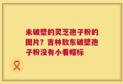未破壁的灵芝孢子粉的图片？吉林敖东破壁孢子粉没有小看帽标