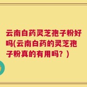 云南白药灵芝孢子粉好吗(云南白药的灵芝孢子粉真的有用吗？)