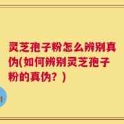 灵芝孢子粉怎么辨别真伪(如何辨别灵芝孢子粉的真伪？)