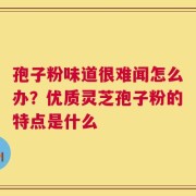 孢子粉味道很难闻怎么办？优质灵芝孢子粉的特点是什么