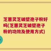 芝蕙灵芝破壁孢子粉好吗(芝蕙灵芝破壁孢子粉的功效及使用方式)