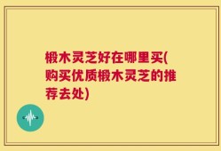 椴木灵芝好在哪里买(购买优质椴木灵芝的推荐去处)