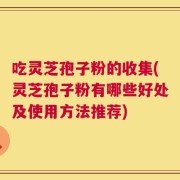 吃灵芝孢子粉的收集(灵芝孢子粉有哪些好处及使用方法推荐)
