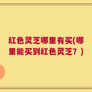 红色灵芝哪里有买(哪里能买到红色灵芝？)
