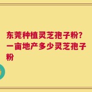 东莞种植灵芝孢子粉？一亩地产多少灵芝孢子粉