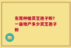 东莞种植灵芝孢子粉？一亩地产多少灵芝孢子粉