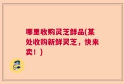 哪里收购灵芝鲜品(某处收购新鲜灵芝，快来卖！)