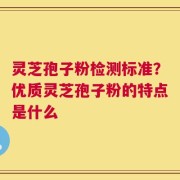 灵芝孢子粉检测标准？优质灵芝孢子粉的特点是什么