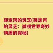 薛定谔的灵芝(薛定谔的灵芝：微观世界奇妙物质的探秘)