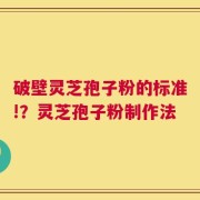 破壁灵芝孢子粉的标准!？灵芝孢子粉制作法