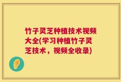 竹子灵芝种植技术视频大全(学习种植竹子灵芝技术，视频全收录)
