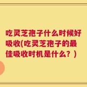 吃灵芝孢子什么时候好吸收(吃灵芝孢子的最佳吸收时机是什么？)