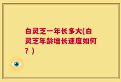 白灵芝一年长多大(白灵芝年龄增长速度如何？)