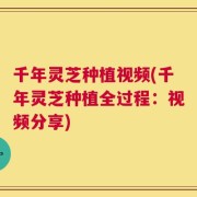 千年灵芝种植视频(千年灵芝种植全过程：视频分享)