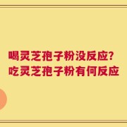 喝灵芝孢子粉没反应？吃灵芝孢子粉有何反应