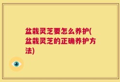 盆栽灵芝要怎么养护(盆栽灵芝的正确养护方法)