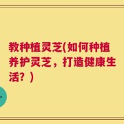 教种植灵芝(如何种植养护灵芝，打造健康生活？)