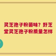 灵芝孢子粉菌味？野芝堂灵芝孢子粉质量怎样
