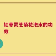 红枣灵芝菊花泡水的功效
