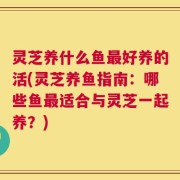 灵芝养什么鱼最好养的活(灵芝养鱼指南：哪些鱼最适合与灵芝一起养？)