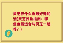 灵芝养什么鱼最好养的活(灵芝养鱼指南：哪些鱼最适合与灵芝一起养？)