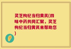 灵芝枸杞当归黄芪(四味中药共同汇聚，灵芝枸杞当归黄芪来帮助您)