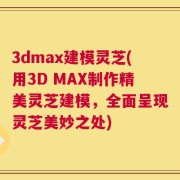 3dmax建模灵芝(用3D MAX制作精美灵芝建模，全面呈现灵芝美妙之处)