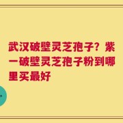 武汉破壁灵芝孢子？紫一破壁灵芝孢子粉到哪里买最好