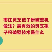 枣庄灵芝孢子粉破壁机做法？最有效的灵芝孢子粉破壁技术是什么