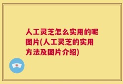 人工灵芝怎么实用的呢图片(人工灵芝的实用方法及图片介绍)