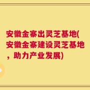 安徽金寨出灵芝基地(安徽金寨建设灵芝基地，助力产业发展)