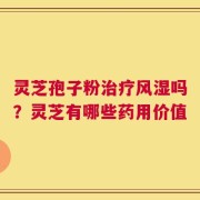 灵芝孢子粉治疗风湿吗？灵芝有哪些药用价值
