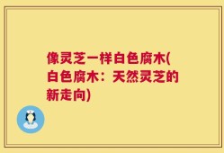 像灵芝一样白色腐木(白色腐木：天然灵芝的新走向)