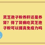 灵芝孢子粉养肝还是养肾？得了肾病吃灵芝孢子粉可以提高免疫力吗