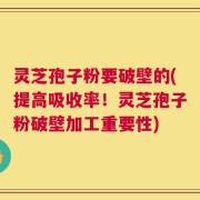 灵芝孢子粉要破壁的(提高吸收率！灵芝孢子粉破壁加工重要性)